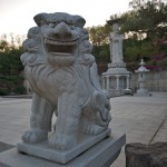bonguensa buddah 4