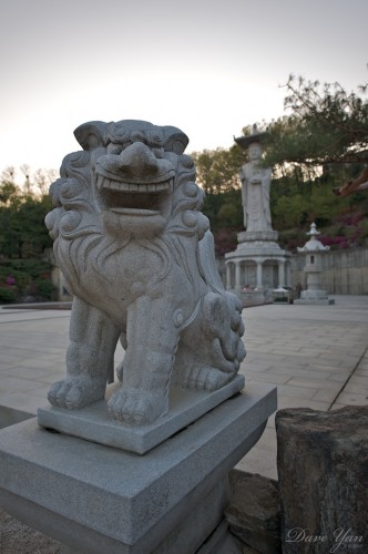 bonguensa buddah 4