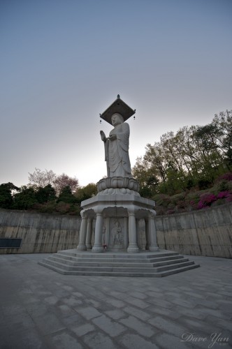 bonguensa buddah 7