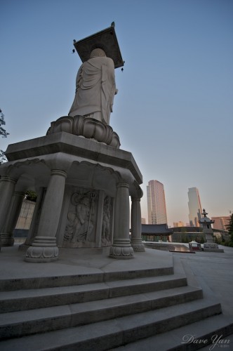 bonguensa buddah 8