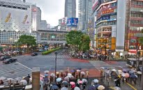 Japan Pt.4 • Shibuya Crossing # 1