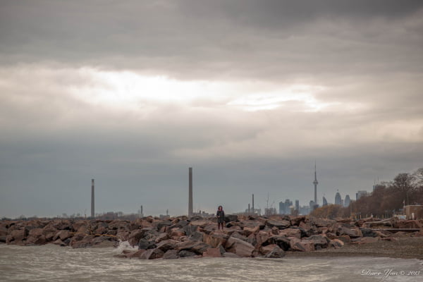 Its Always Sunny In Toronto